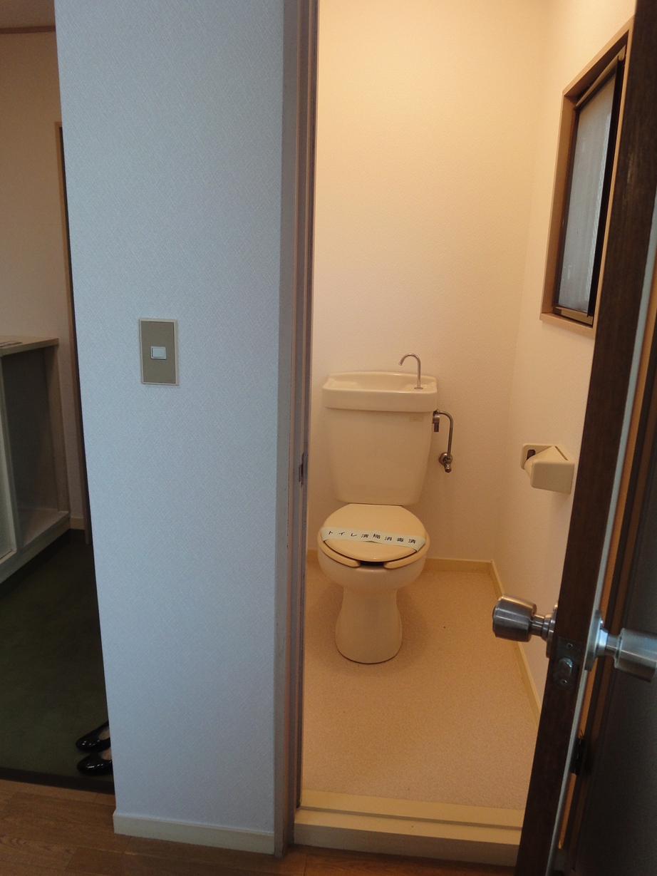 Toilet. Bright toilet