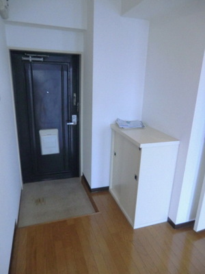 Entrance. Entrance with a shoe box