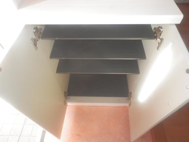 Receipt. Footwear input