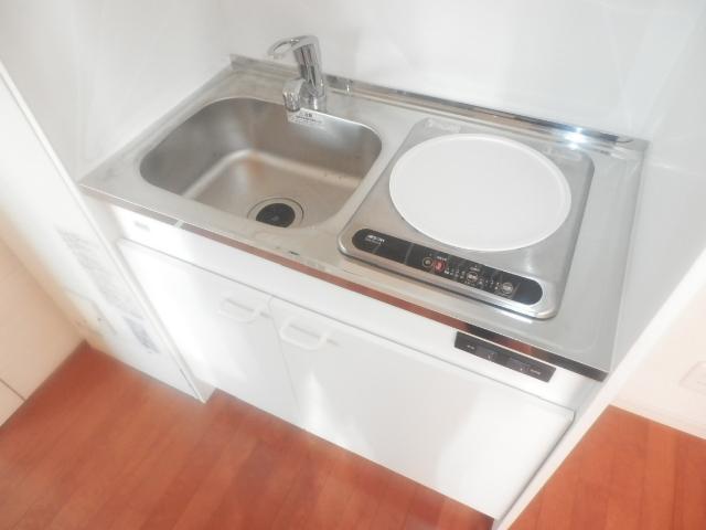 Kitchen. IH cooking heater