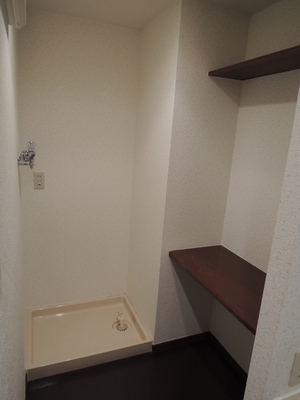 Washroom. There is a working space is next to the washing machine Storage!