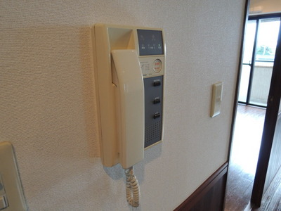 Other. Since the auto rock, Visitors respond by intercom!