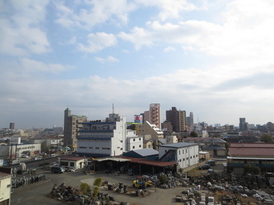 View. South-facing sunny