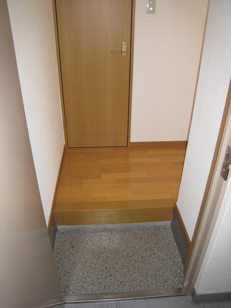 Entrance. Entrance. Living space is not visible.