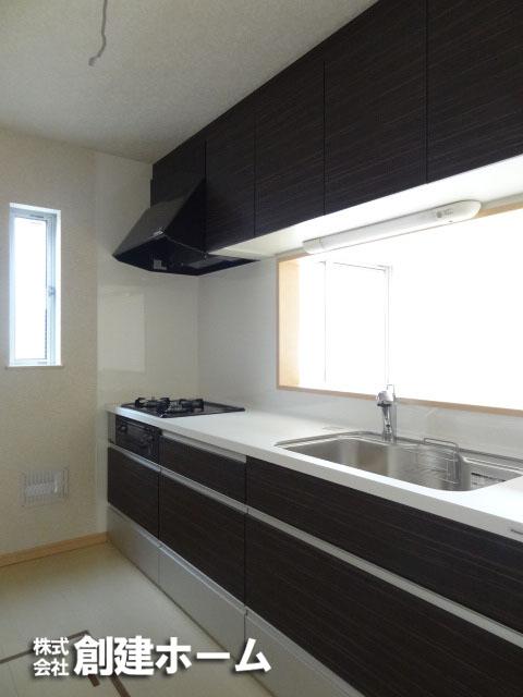 Kitchen. Popular face-to-face kitchen