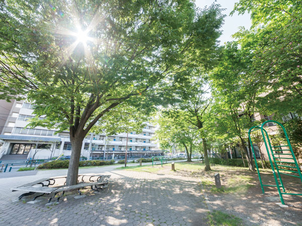 Surrounding environment. Municipal Jiangbei petting park (about 260m, 4-minute walk)