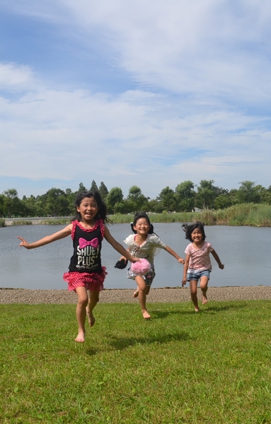 Metropolitan Tonerikoen (bicycle about 15 minutes / About 2840m)