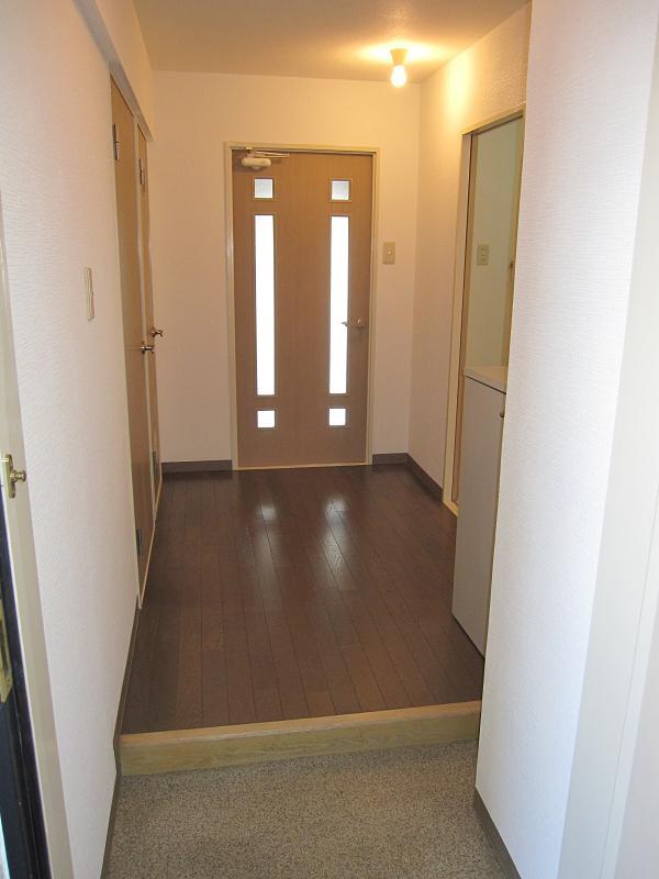 Entrance. Is the entrance before space and spacious.