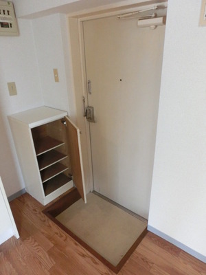 Entrance. Shoes BOX equipped bright entrance