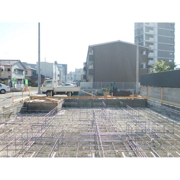 Other introspection. Local Photos