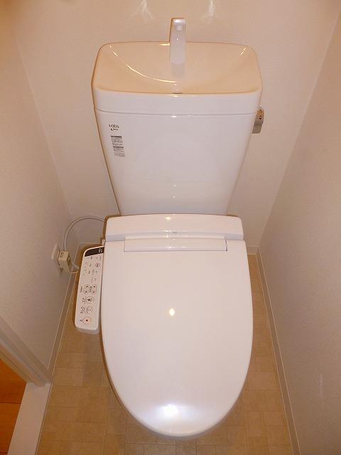 Toilet. Shower toilet