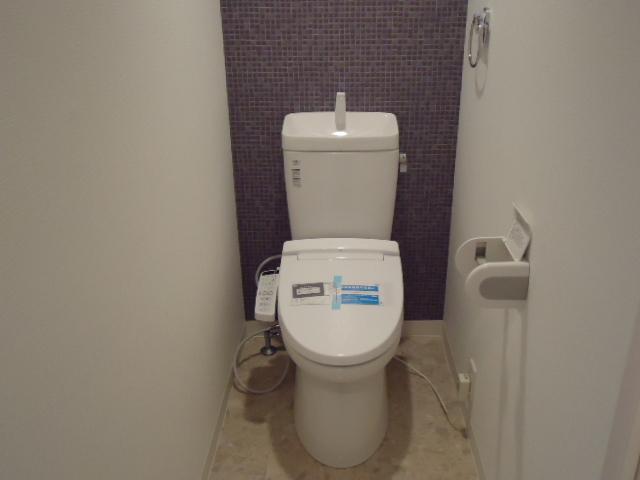 Toilet. Indoor (September 2013) Shooting