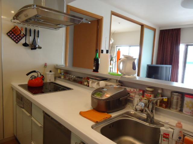 Kitchen. Indoor (10 May 2013) Shooting