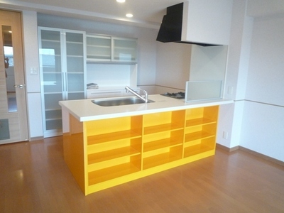 Kitchen. Party kitchen with a feeling of opening (with disposer)