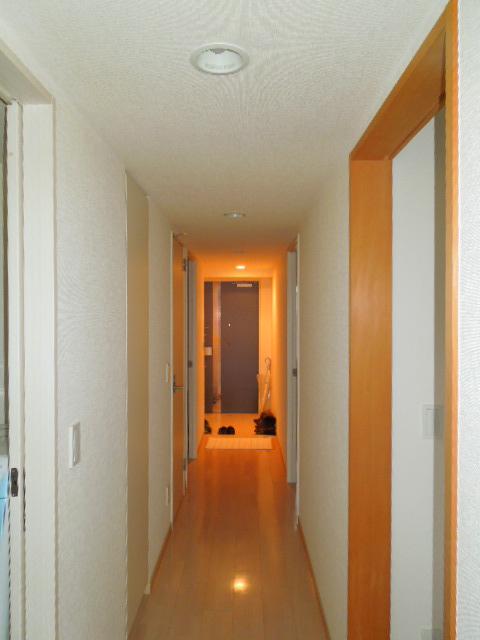 Other introspection. Corridor (November 2013) Shooting