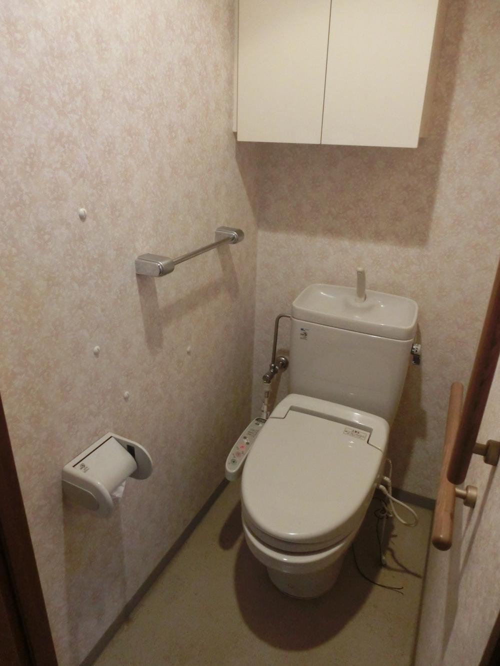 Toilet. Indoor (January 2014) Shooting