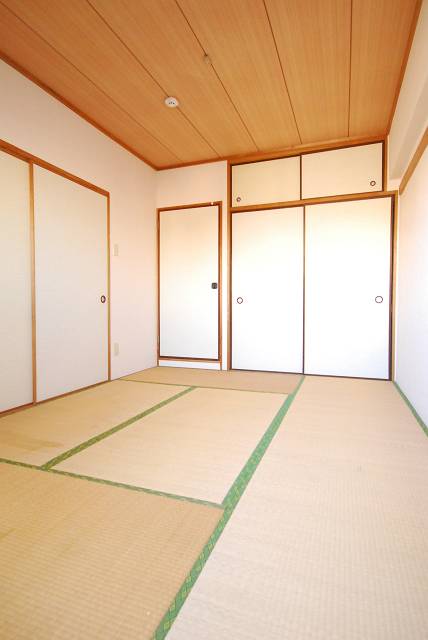 Living and room. Bright Japanese-style room. Pat storage!