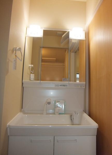 Washroom. Shampoo dresser