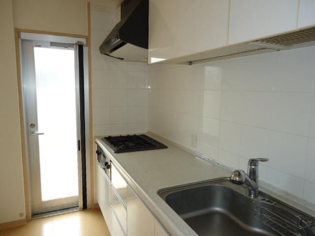 Kitchen. Kitchen with a back door to the balcony (2013 August shooting)