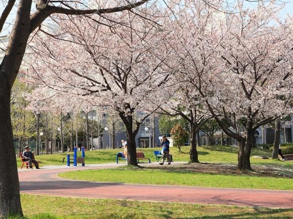Other Environmental Photo. 800m Gymnasium until Hanaho Central Park, Pool, Tennis court, Square, such as a variety of facilities that dog lovers we gather.  Distance from the local, we have measured from the north side of the subdivision. 