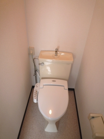 Toilet. Convenient with bidet
