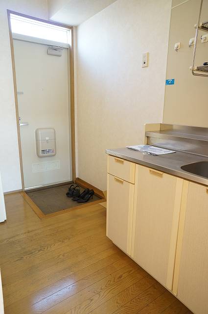 Kitchen. Kitchen space