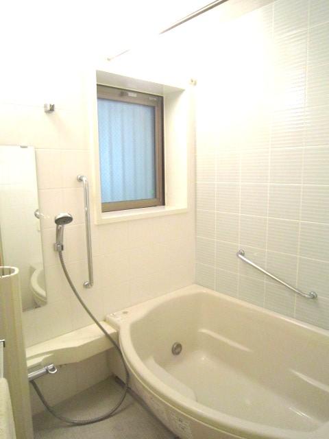 Bathroom. Indoor (11 May 2013) Shooting