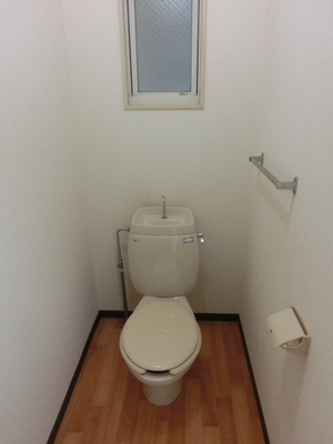Toilet. Western-style toilet