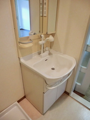 Washroom. Shampoo with Dresser