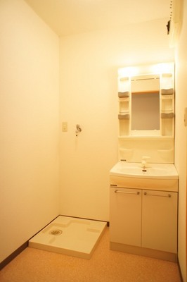 Washroom. Independent wash basin Laundry Area Available