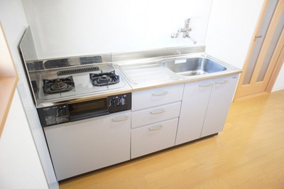 Kitchen. kitchen With a two-burner gas stove grill