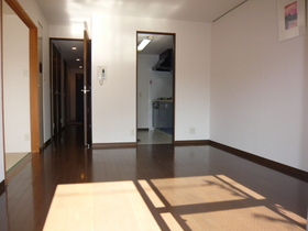 Living and room. Day is also good on the south-facing living room