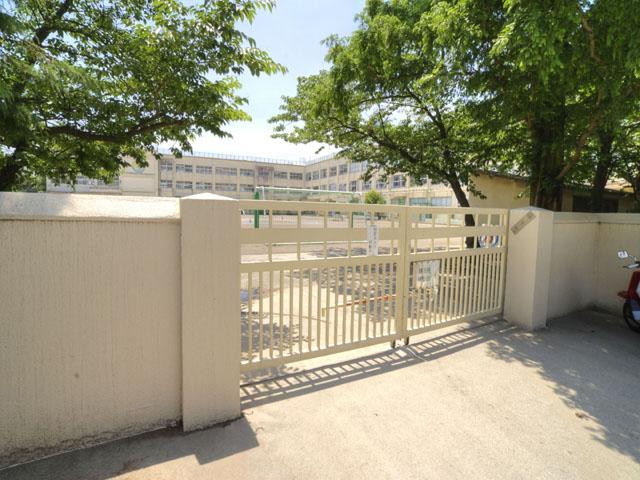 Primary school