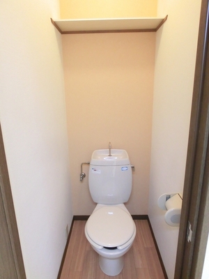 Toilet. It is also convenient to put things on top of the shelf!