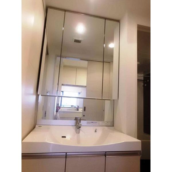Wash basin, toilet. Separate vanity