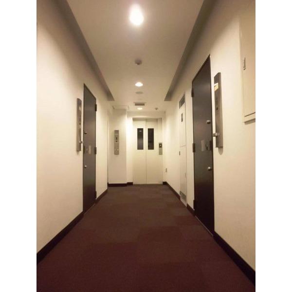 Other introspection. Middle corridor