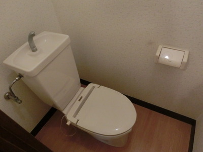 Toilet. Toilet with a heating toilet seat
