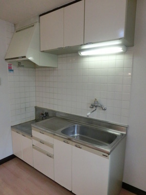 Kitchen. The possible installation 2 lot gas stoves