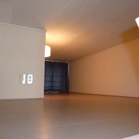 Living and room. loft