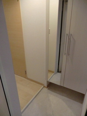 Entrance. A breeze of check before going out in the mirror with the door