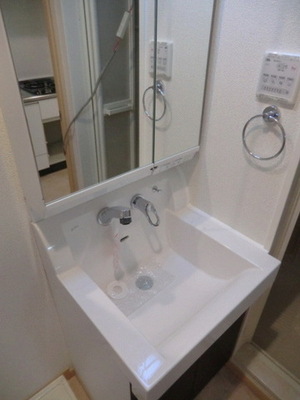 Washroom. Shampoo dresser Storage is also abundant