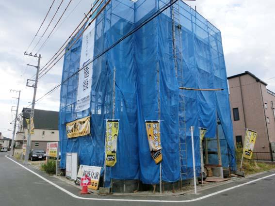 Adachi-ku, Tokyo flower garden 6