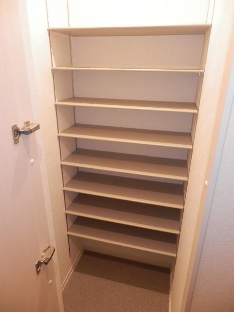 Receipt. Footwear input