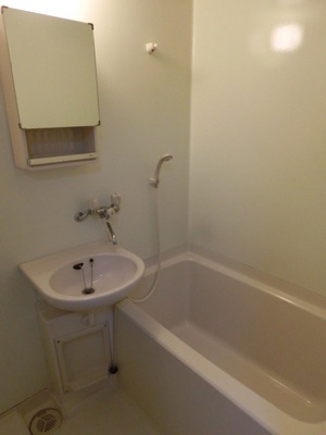 Bath. Bus toilet separate bath