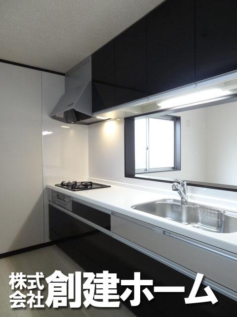 Kitchen. Popular face-to-face kitchen