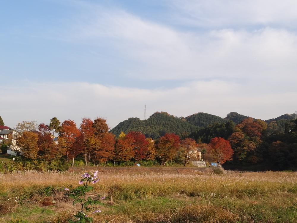 Other. Local neighborhood view (November 2012) shooting