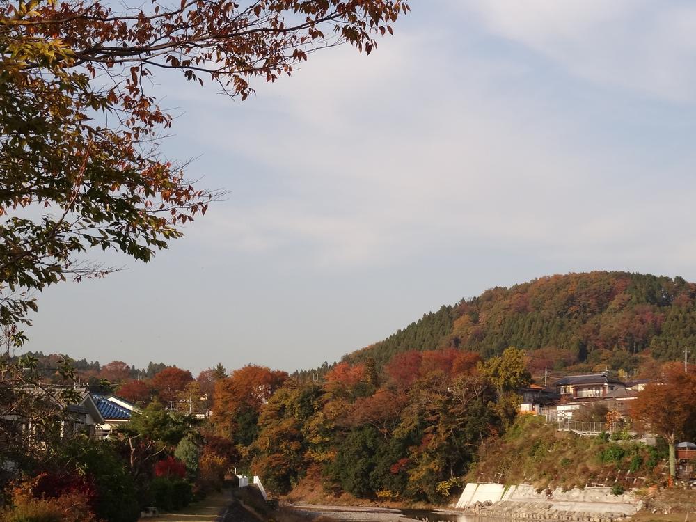 Other. Local neighborhood view (November 2012) shooting