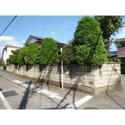 Local land photo. Local Photo 1