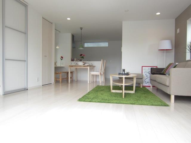 Living. Indoor (10 May 2013) Shooting