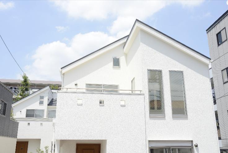 Local appearance photo. Example of construction